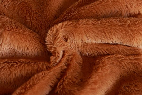 PV绒 Plush Plush - 图片 6